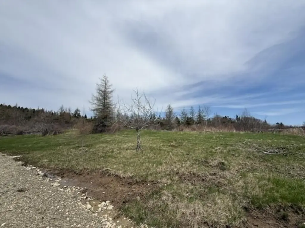 Picture 7