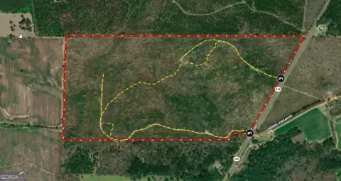 Recreational Timber Tract For Sale