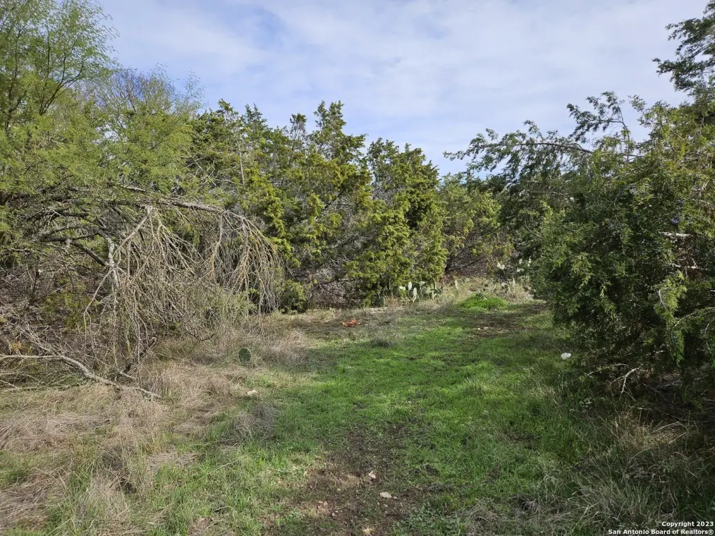 Picture 4