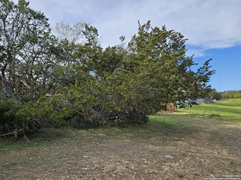 Picture 9