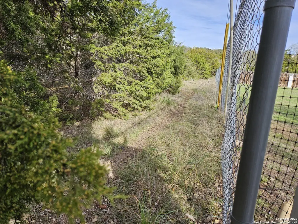 Picture 11