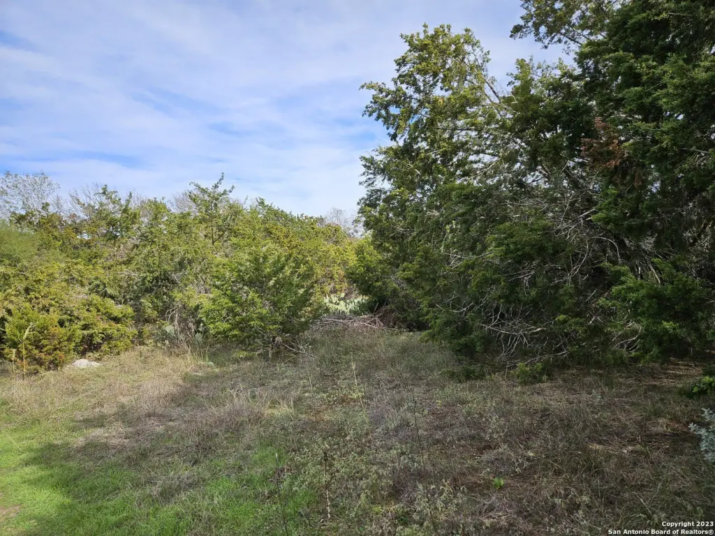Picture 3