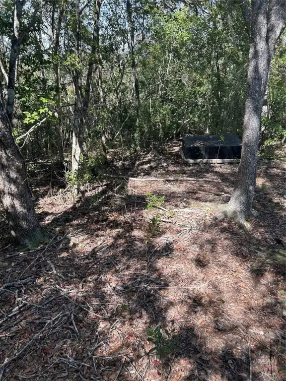 Picture 5