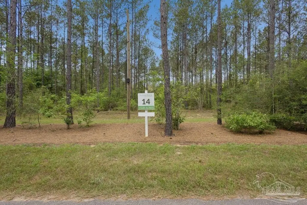 Picture 3