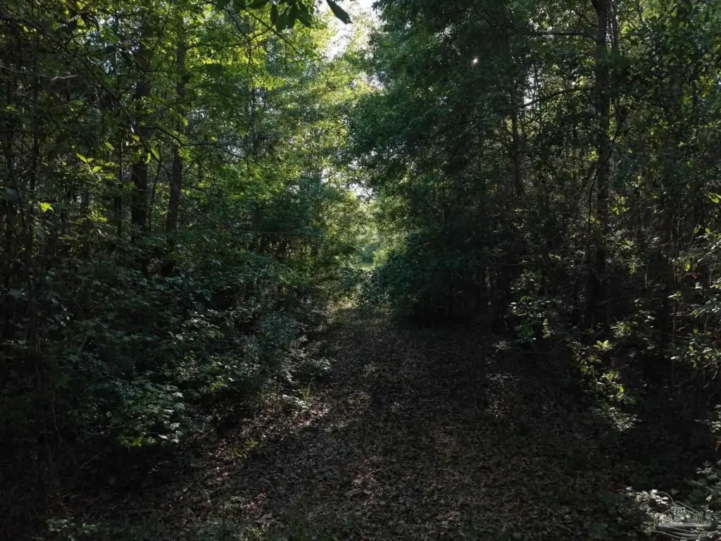 Picture 17
