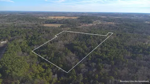 15 Acres Wooded Land, Lindale