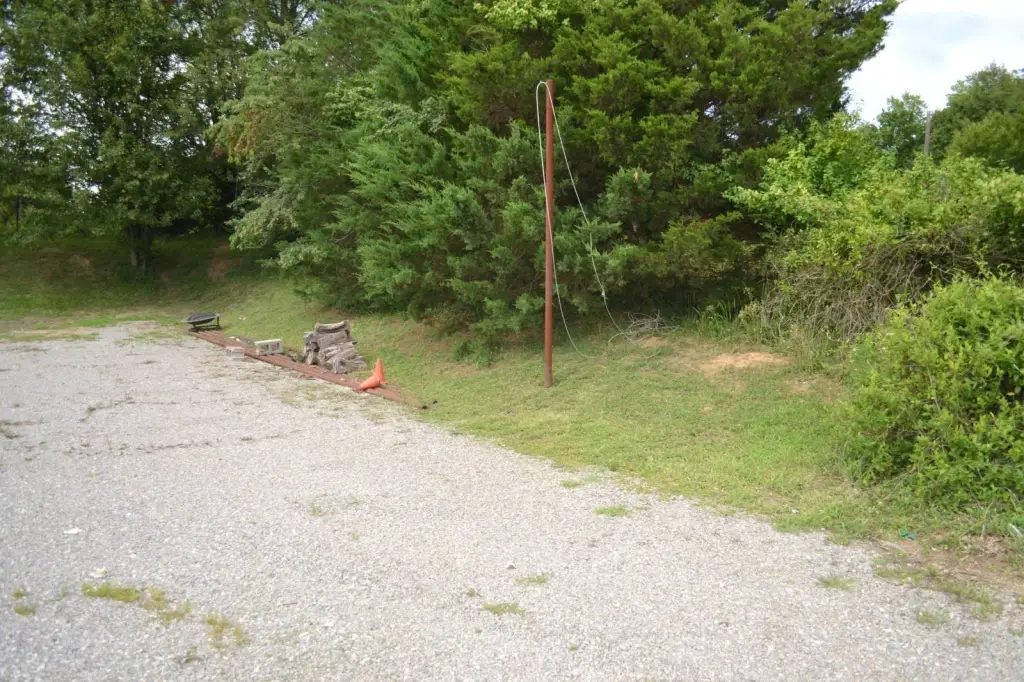 Picture 24