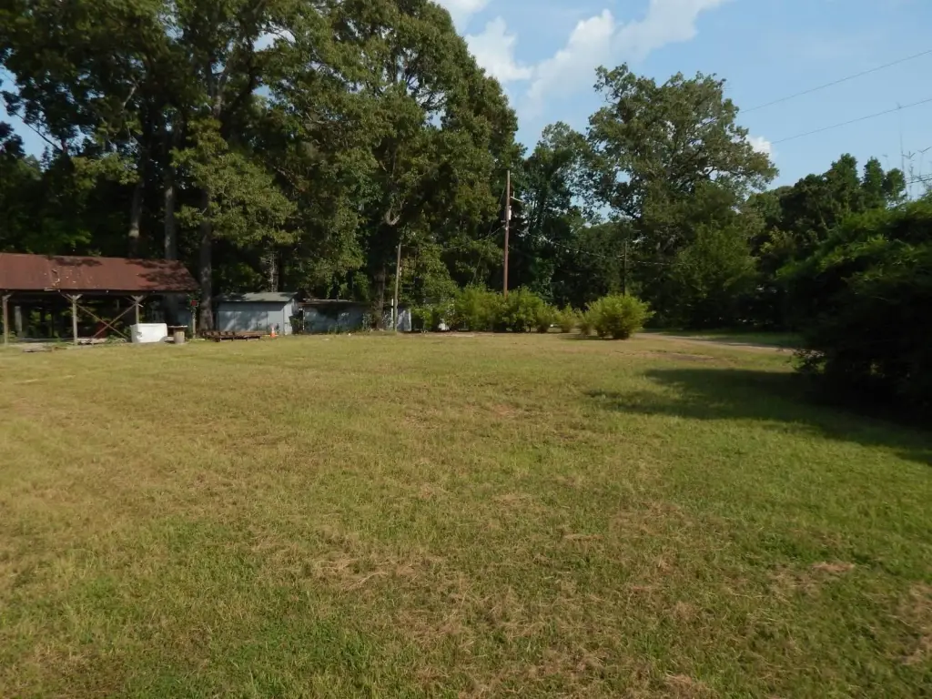 Picture 8