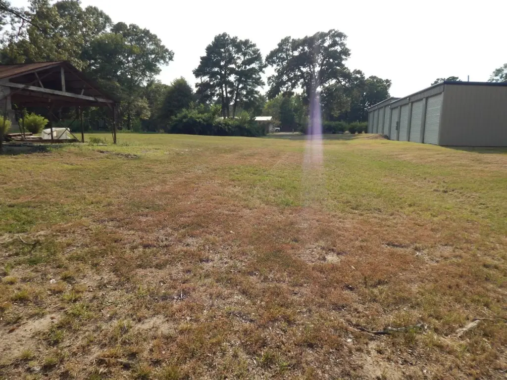 Picture 14