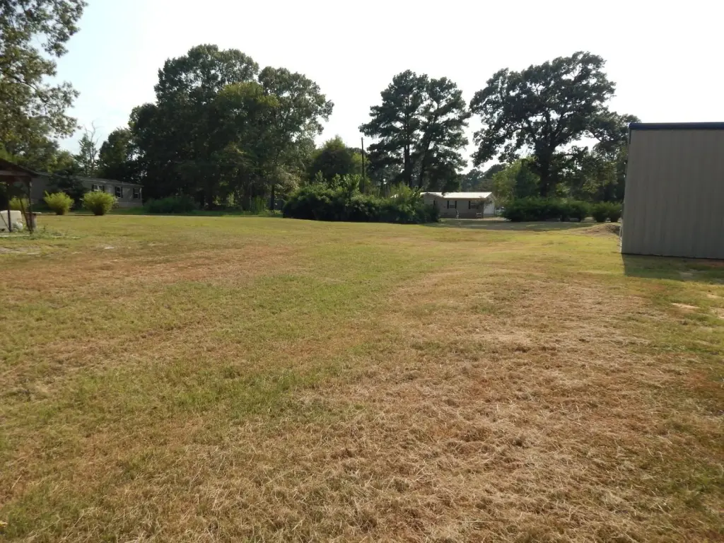 Picture 10
