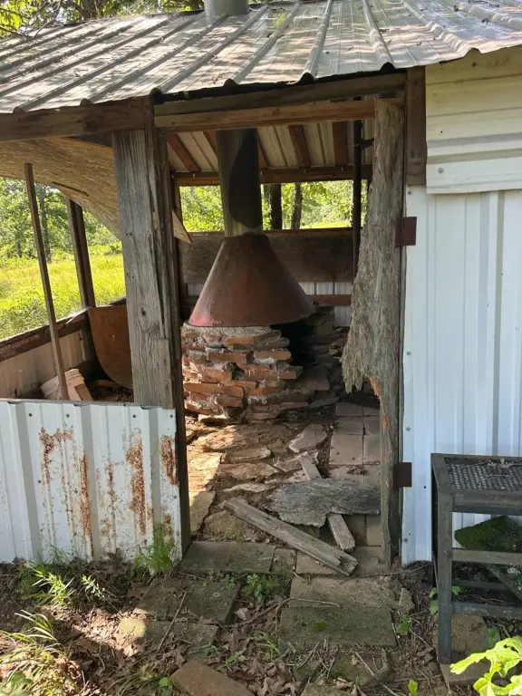 Picture 25