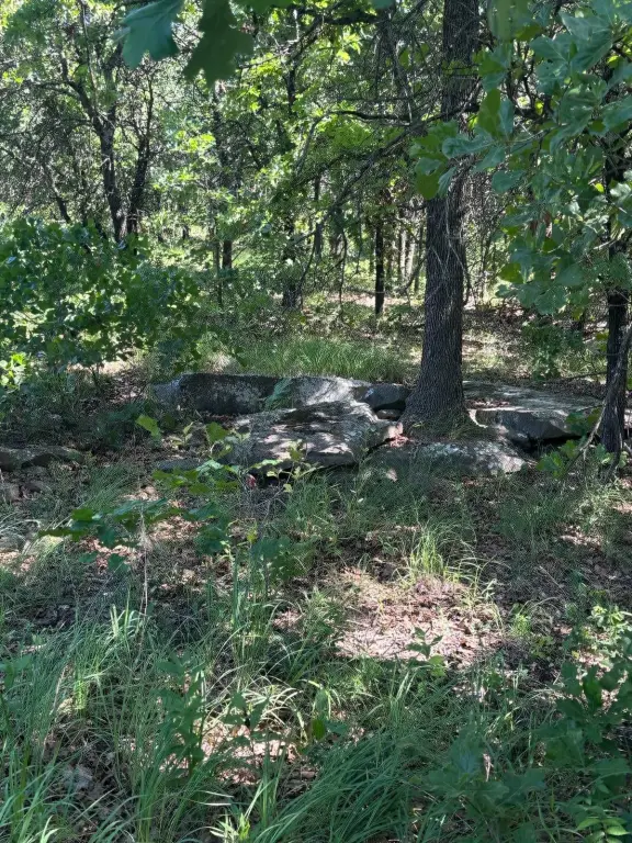 Picture 38