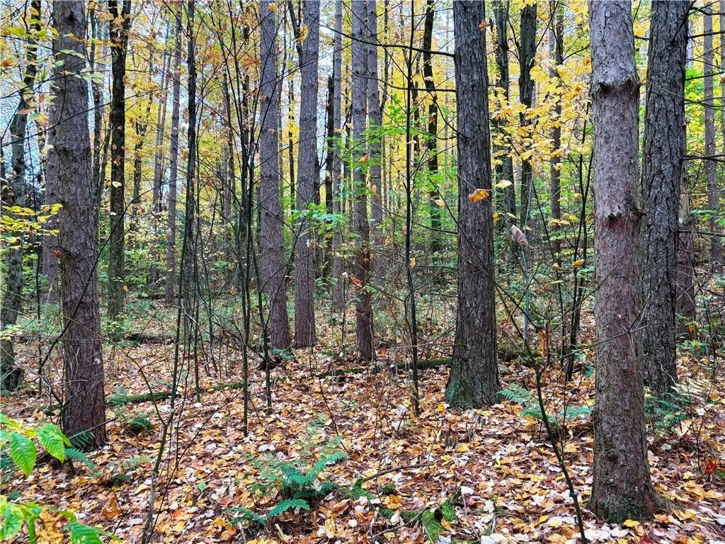 Picture 39