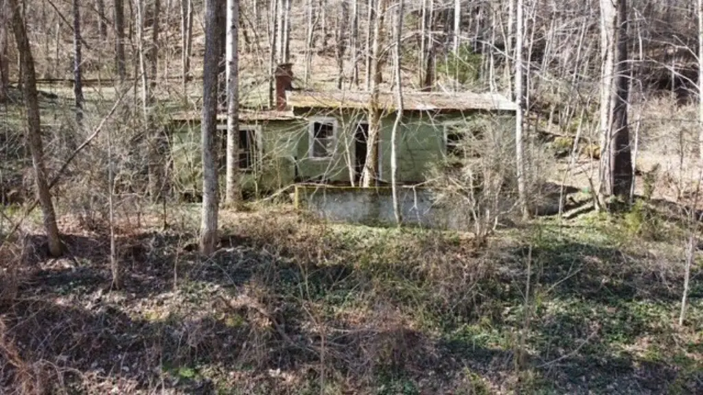 Picture 6