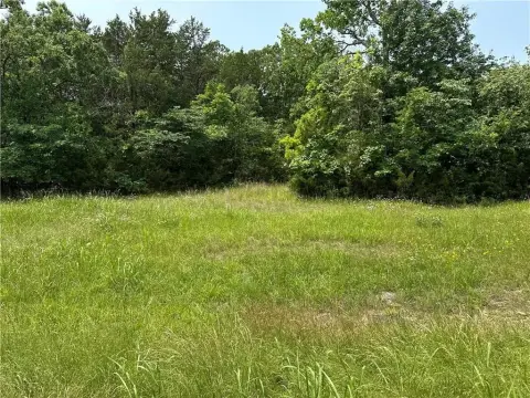 Diamond City Land Opportunity