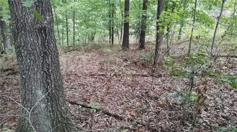 Bella Vista Land Opportunity