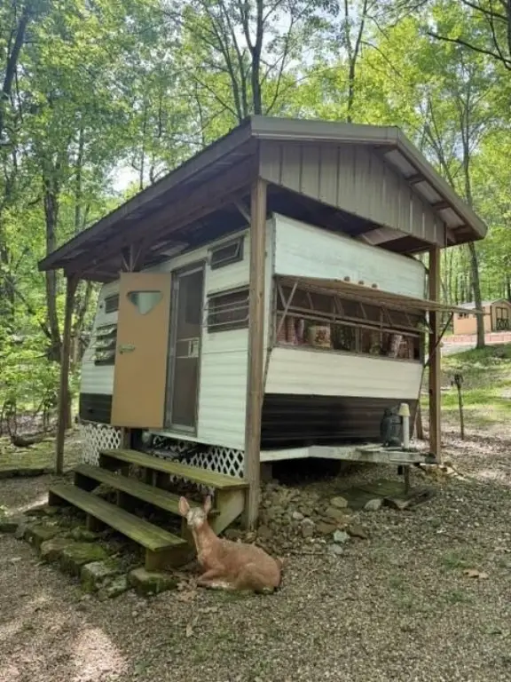 Picture 14