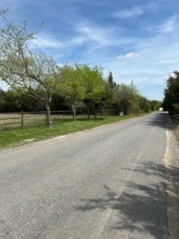 Picture 20