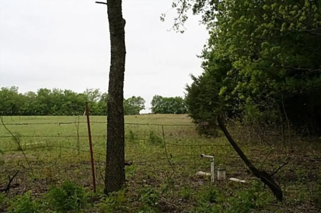 Picture 19