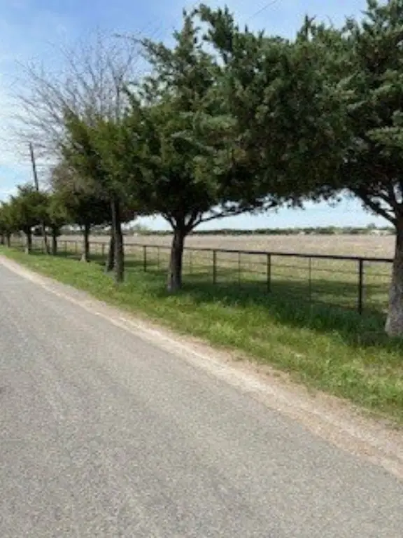 Picture 21