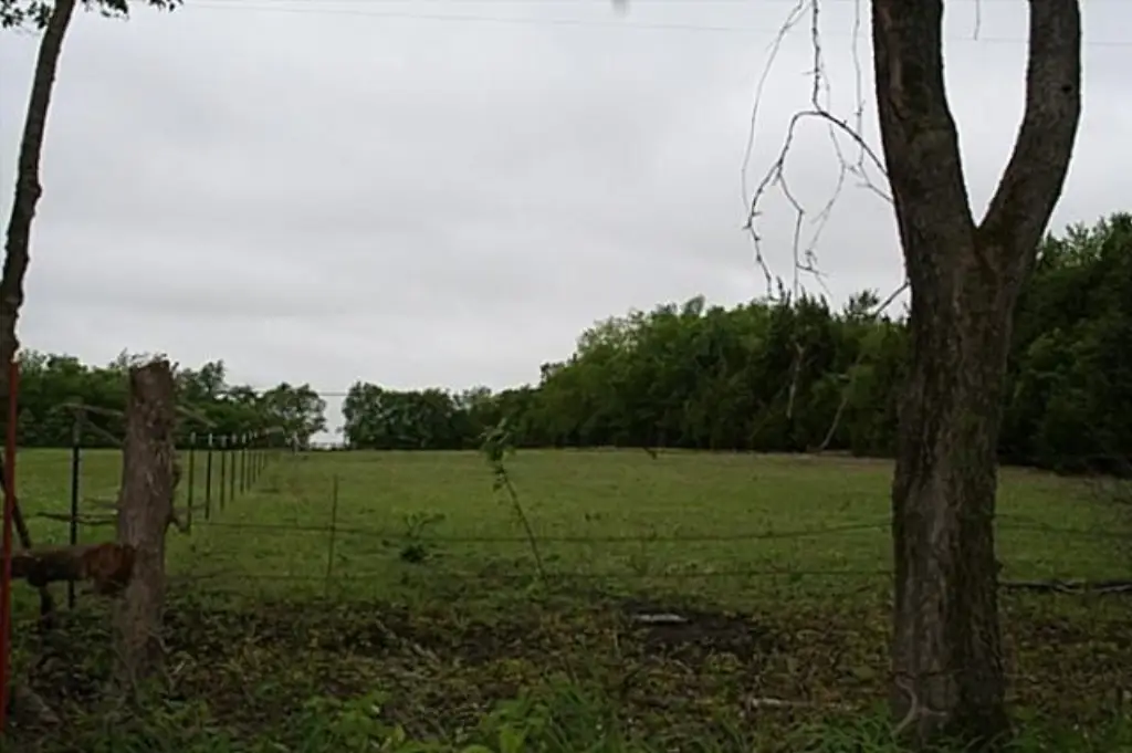 Picture 17