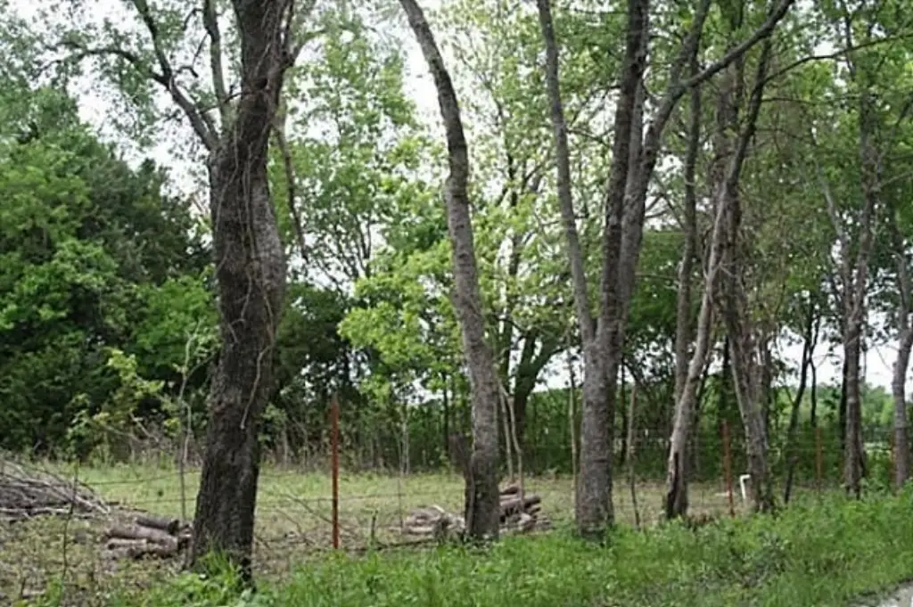 Picture 18