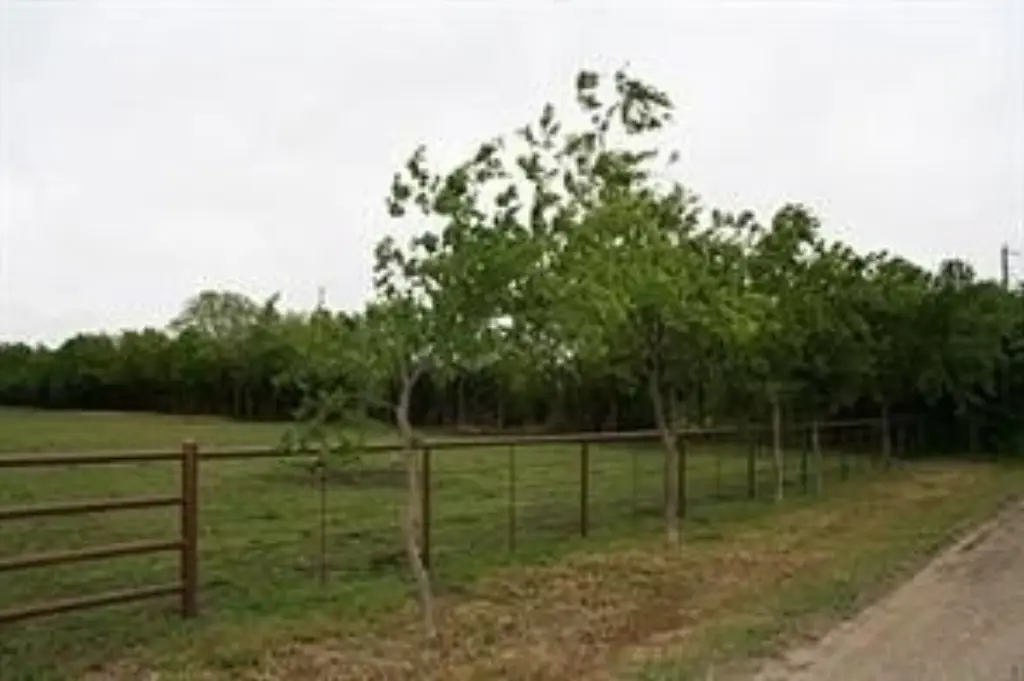 Picture 14