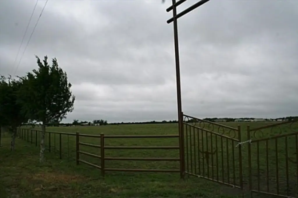 Picture 15