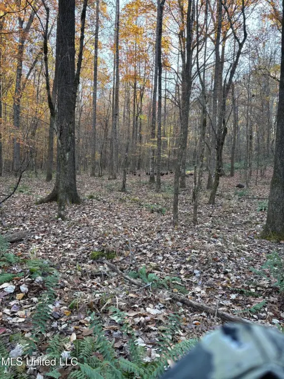 Picture 4