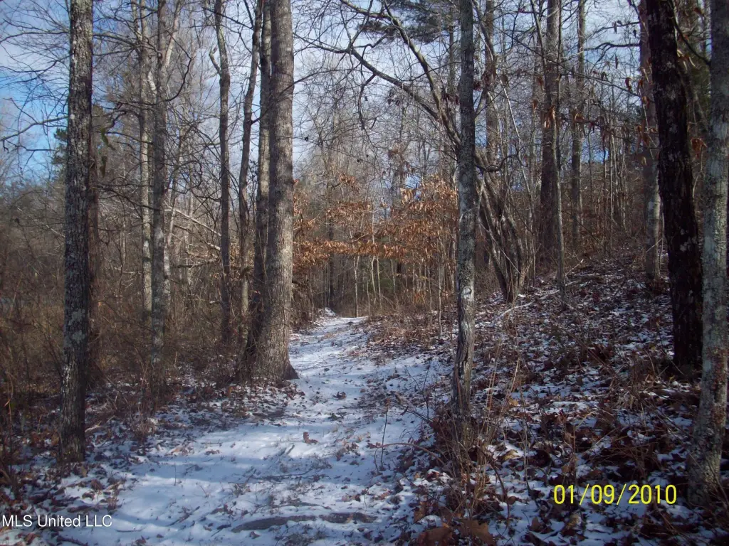 Picture 2