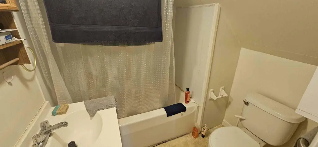 Picture 13
