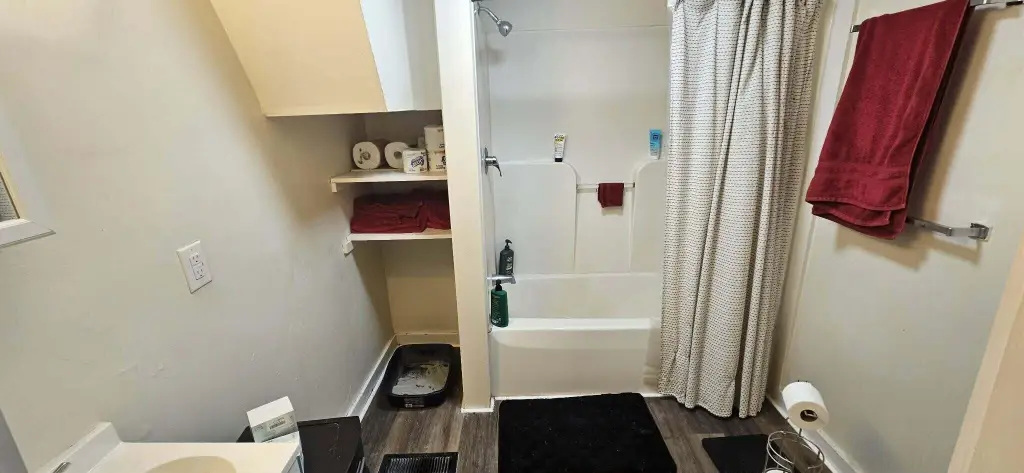 Picture 19