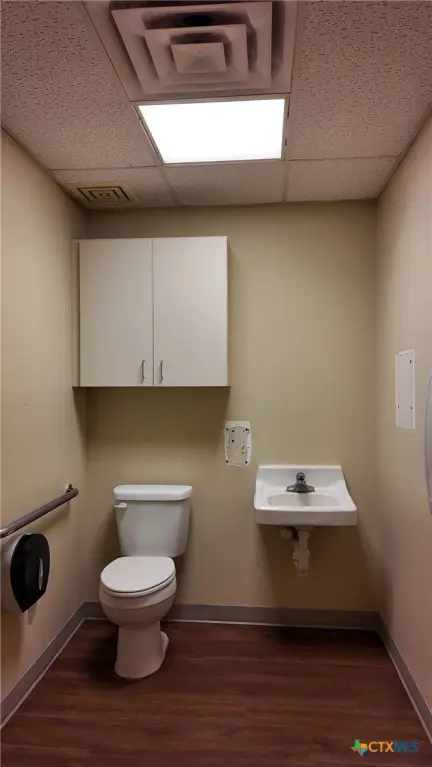 Picture 14