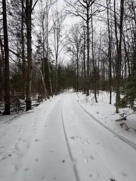 Houghton Lake Hunting and Recreation