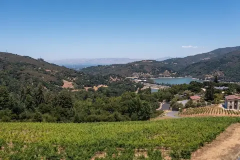 Los Gatos Residential Vineyard Land