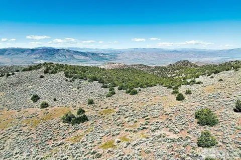 Palomino Valley 40-Acre Parcel