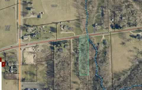 Wooded Land Near Hall Lake