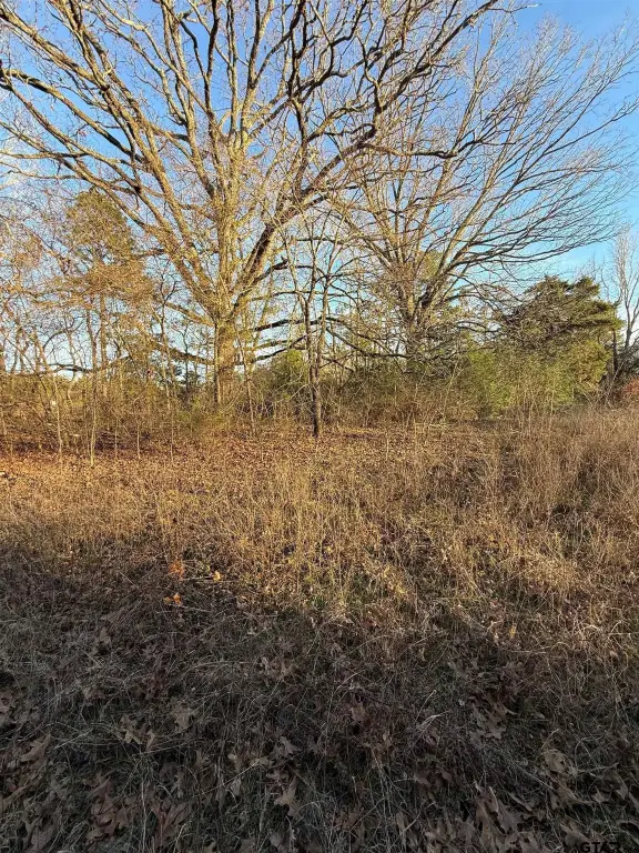 Picture 5
