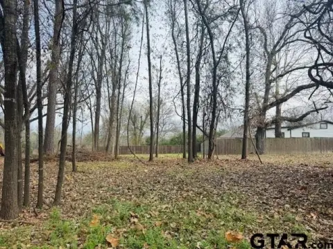 Residential Lot in Athens, TX