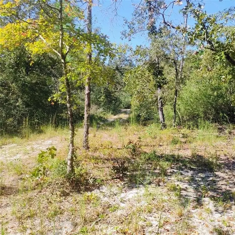 Picture 23