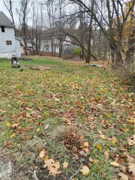 Vacant Lot in Akron, OH