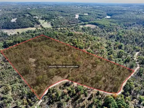 Wooded Hunting Land