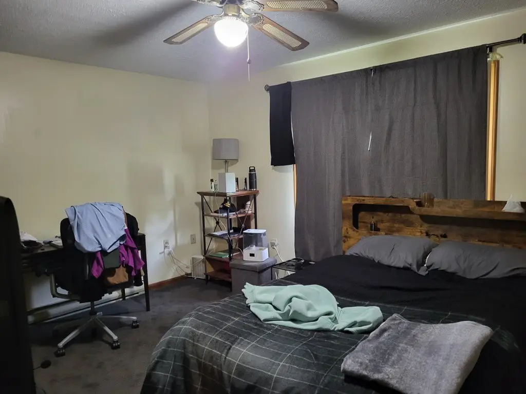 Picture 13