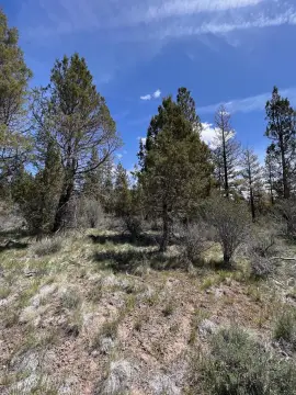 Residential Lots in Oregon Pines