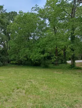 Newberry County Land Opportunity