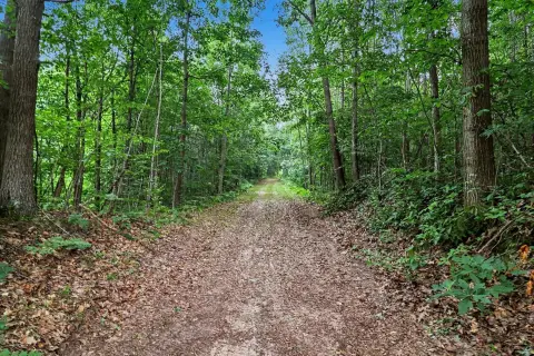 Hunting Land with Rolling Hills