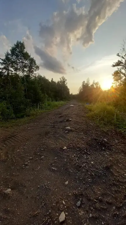 Picture 5