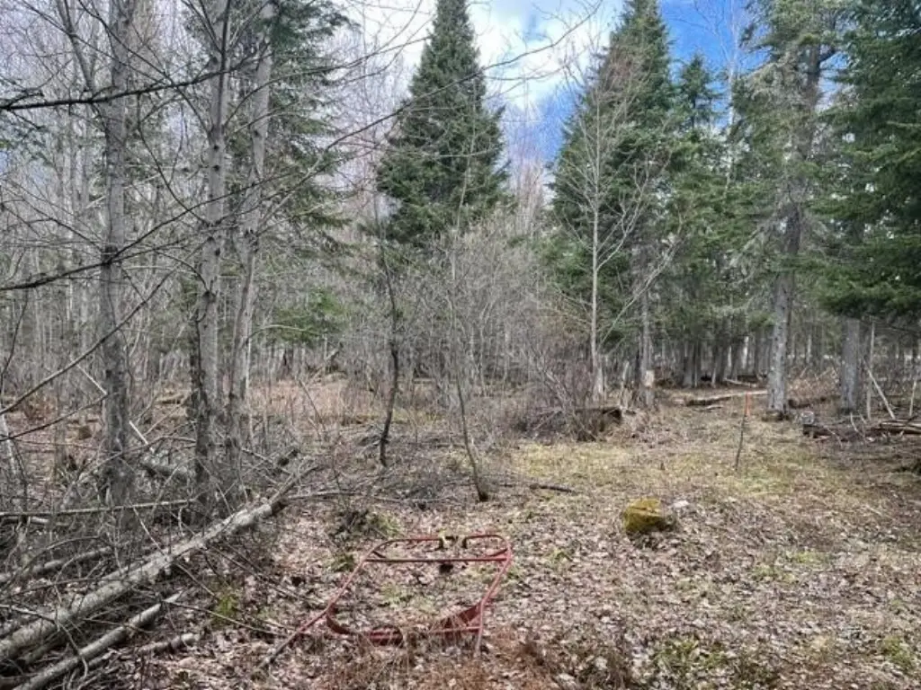 Picture 5