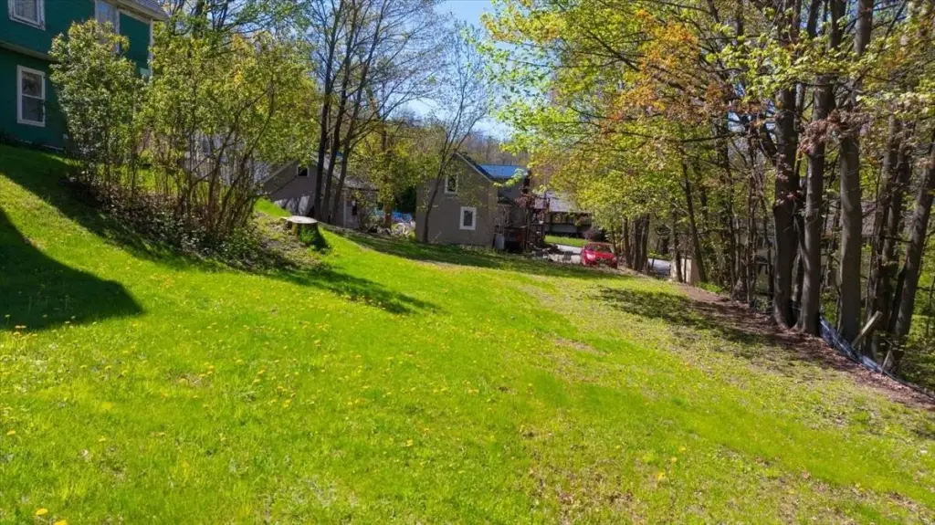Picture 5