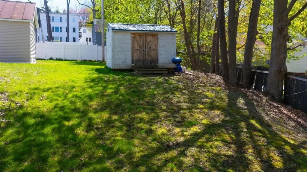 Picture 8